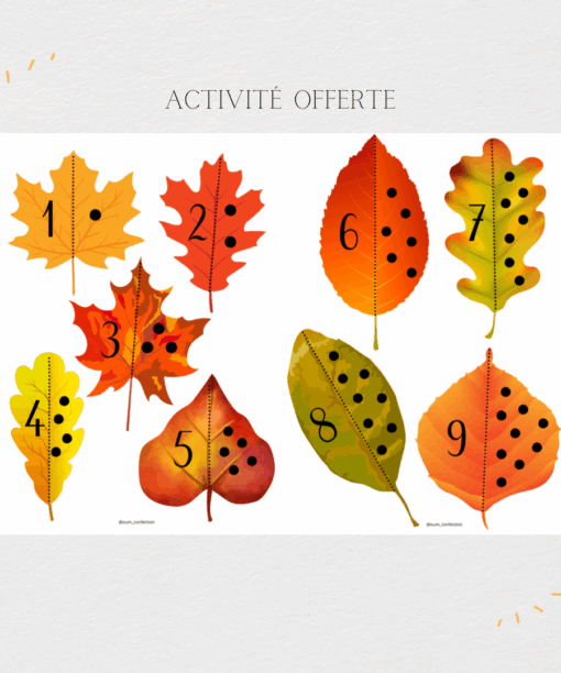 Feuilles de dénombrement