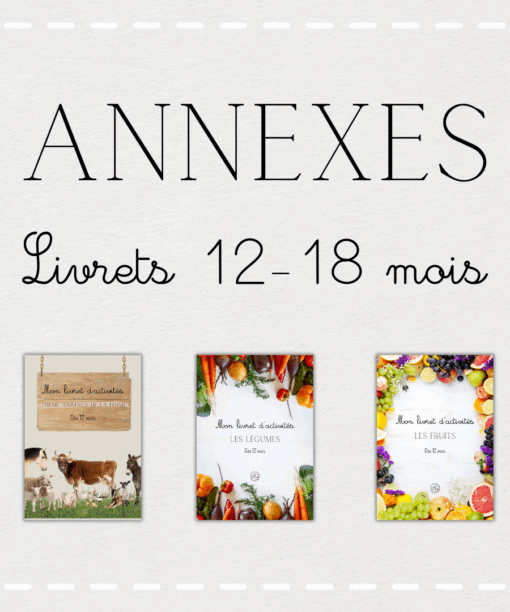 Annexes 12-18 mois