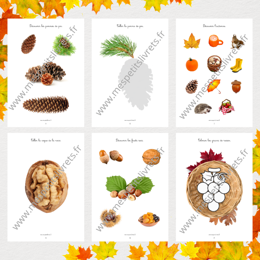 Livret physique - Automne - Petite section